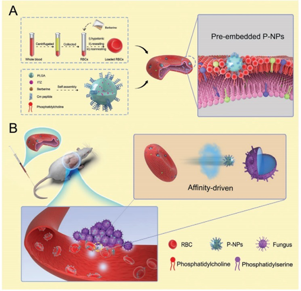 實(shí)驗(yàn)數(shù)據(jù)