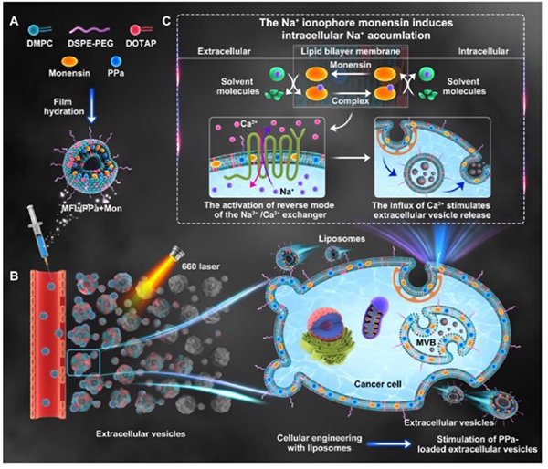 實(shí)驗(yàn)數(shù)據(jù)