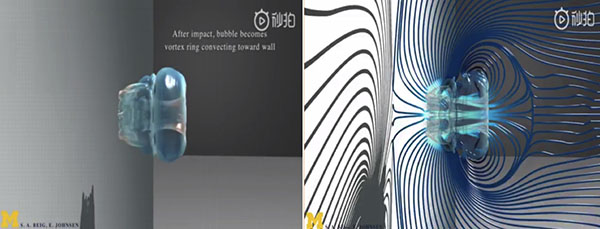 細胞結(jié)構(gòu)圖