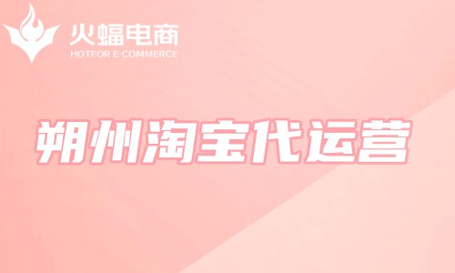 朔州淘寶代運營